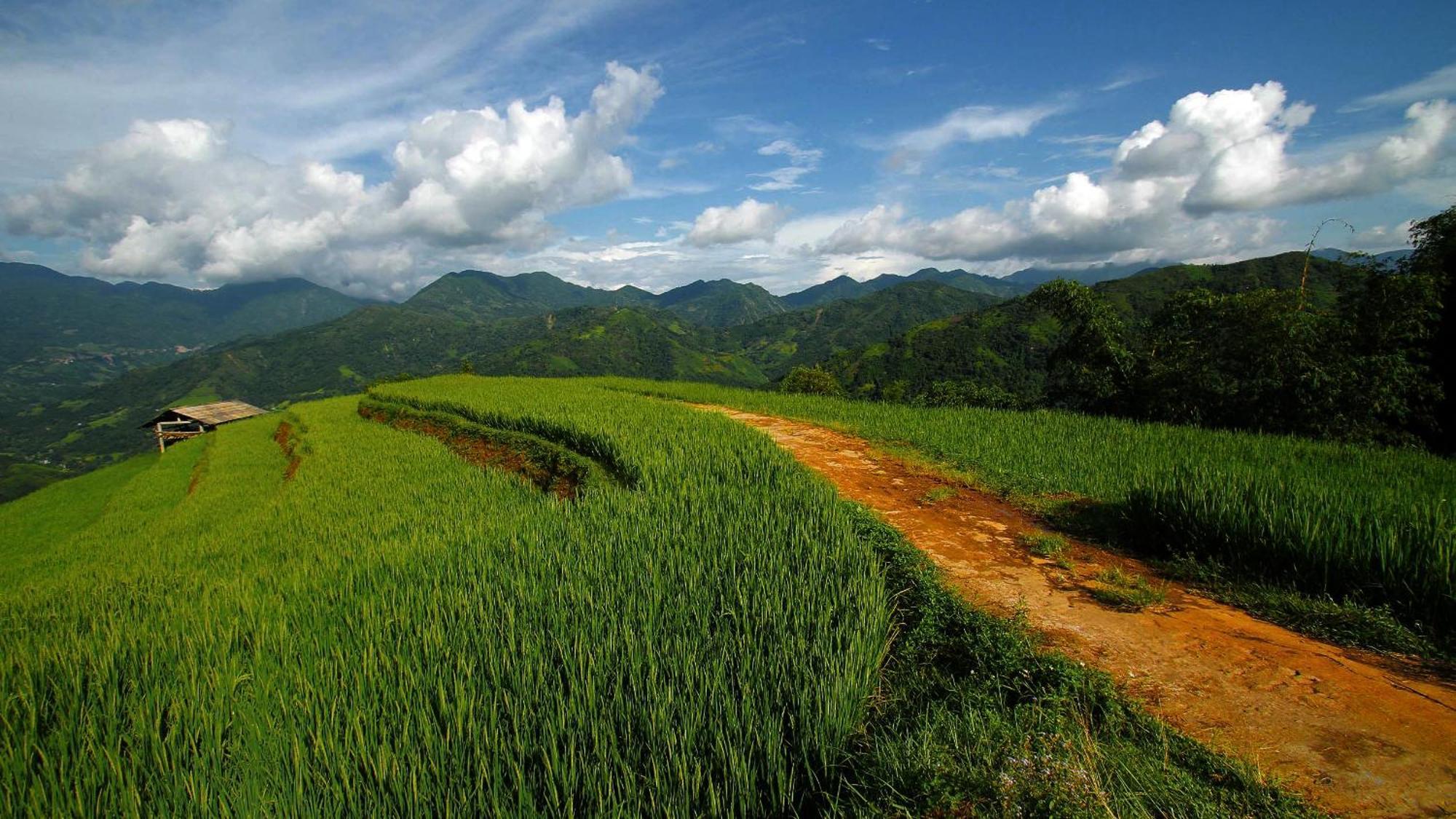 Hoang Su Phi - Mong Ngua Homestay Ha Giang Esterno foto