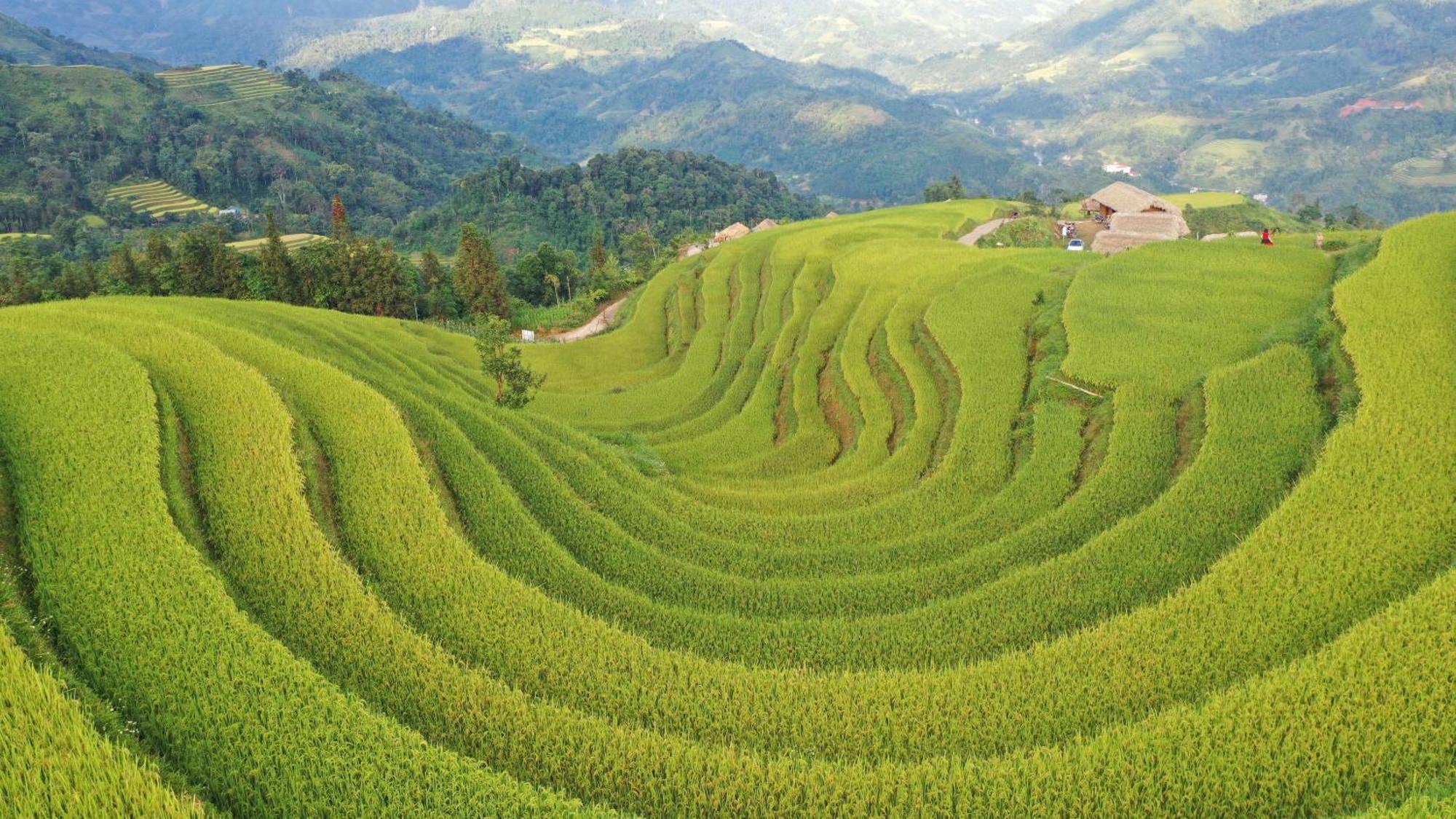 Hoang Su Phi - Mong Ngua Homestay Ha Giang Esterno foto