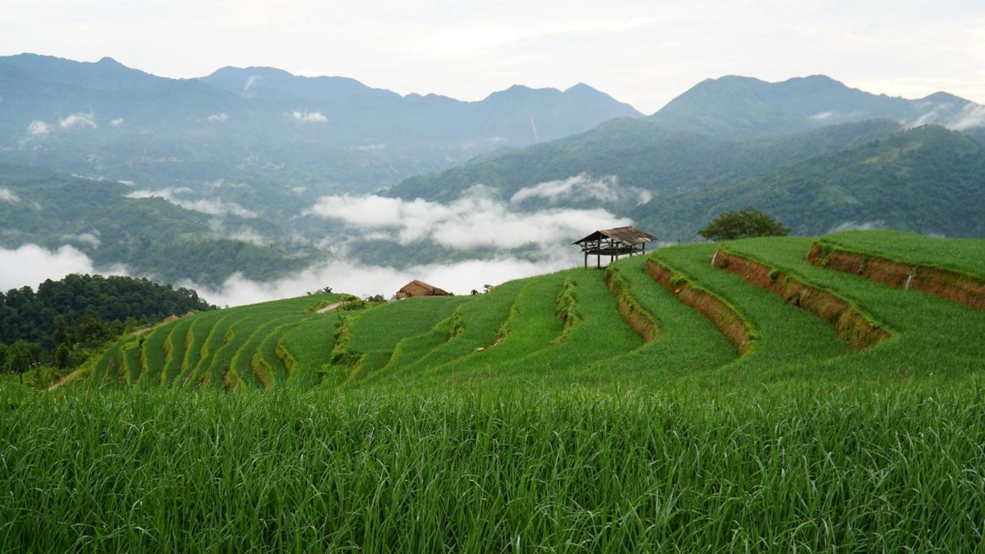 Hoang Su Phi - Mong Ngua Homestay Ha Giang Esterno foto