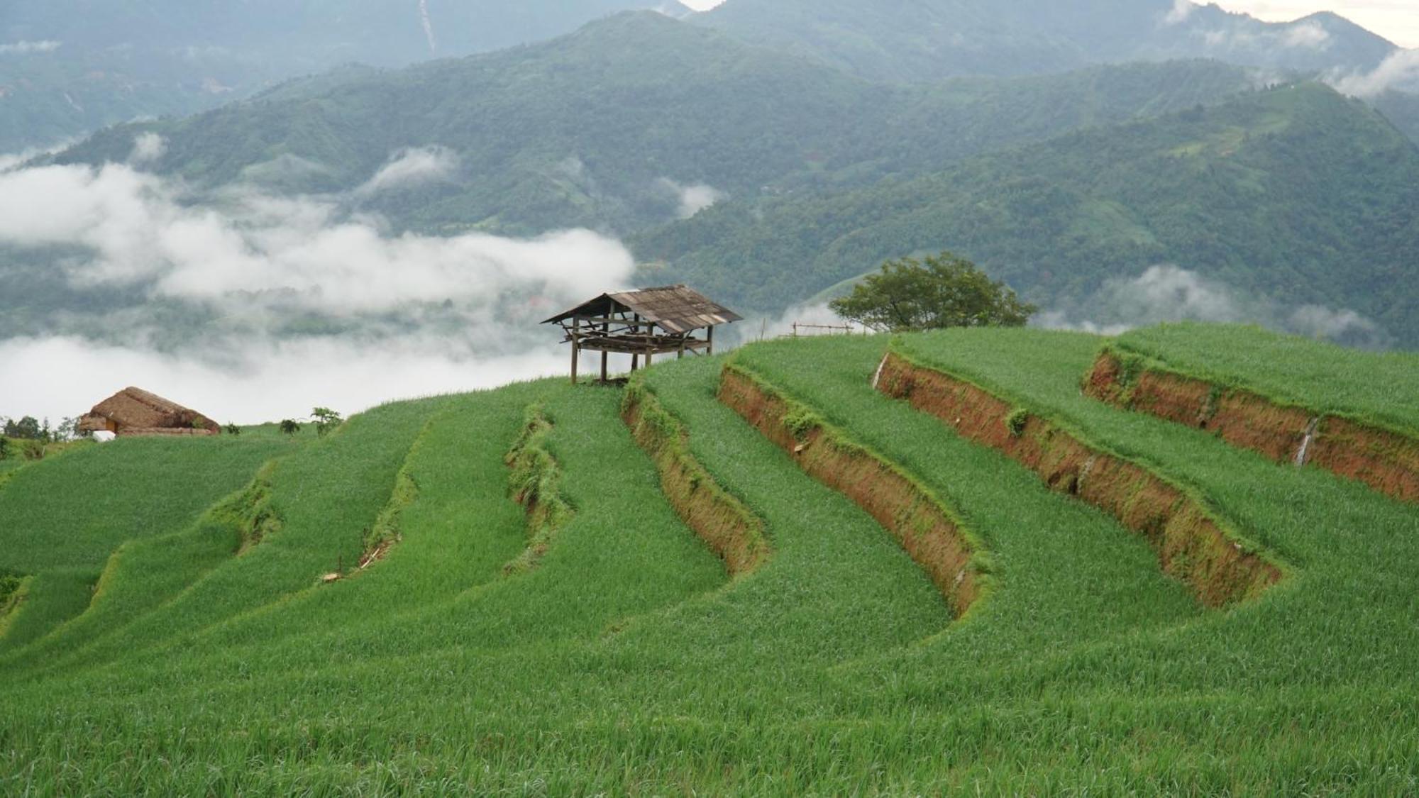 Hoang Su Phi - Mong Ngua Homestay Ha Giang Esterno foto