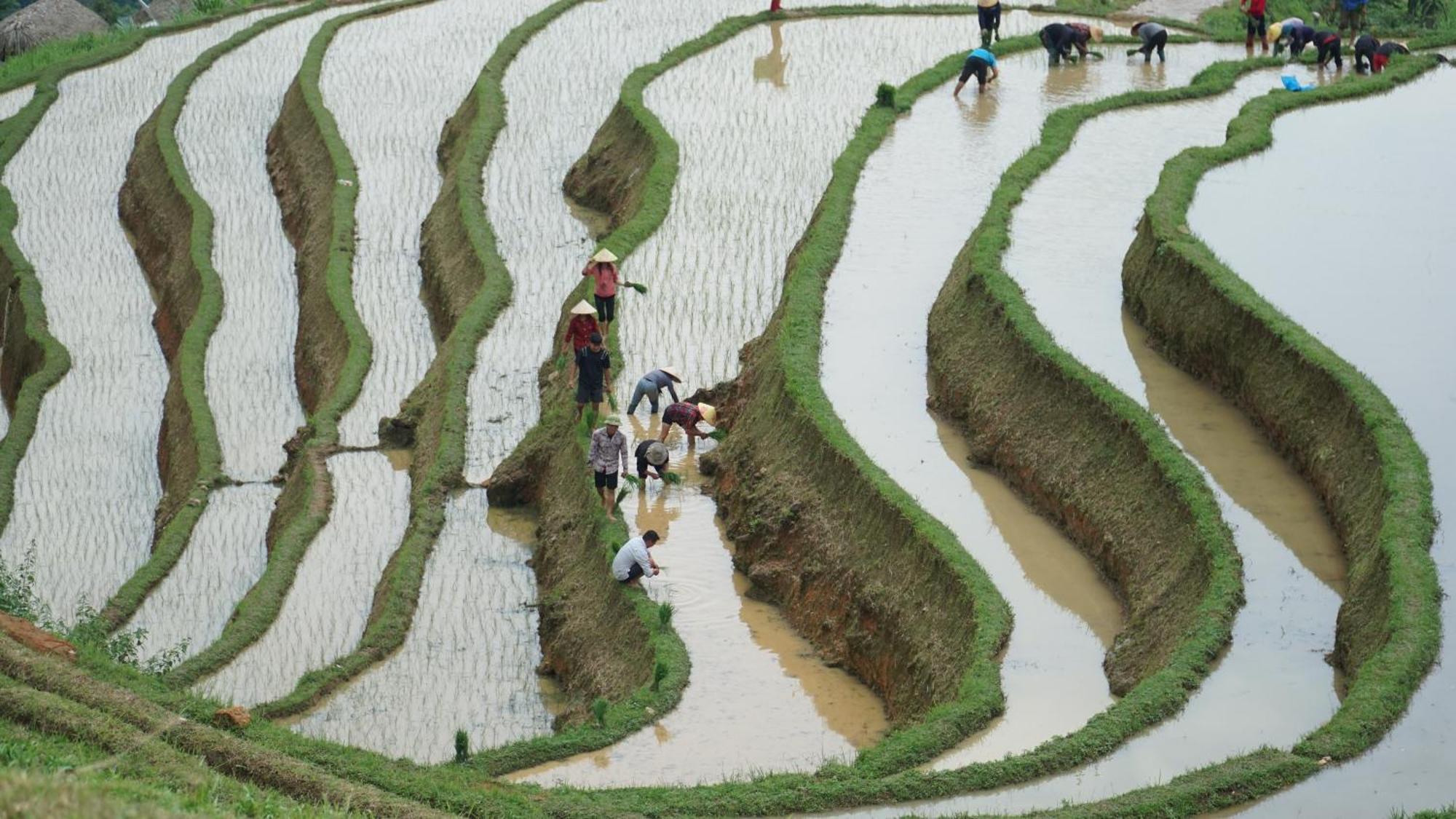 Hoang Su Phi - Mong Ngua Homestay Ha Giang Esterno foto