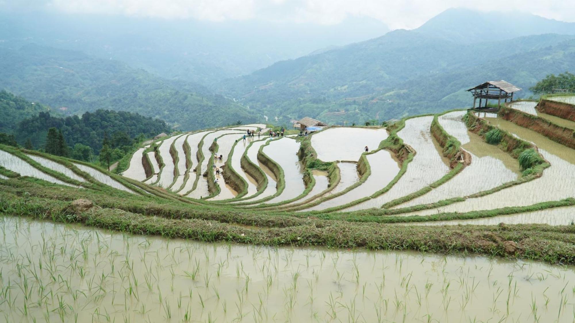 Hoang Su Phi - Mong Ngua Homestay Ha Giang Esterno foto