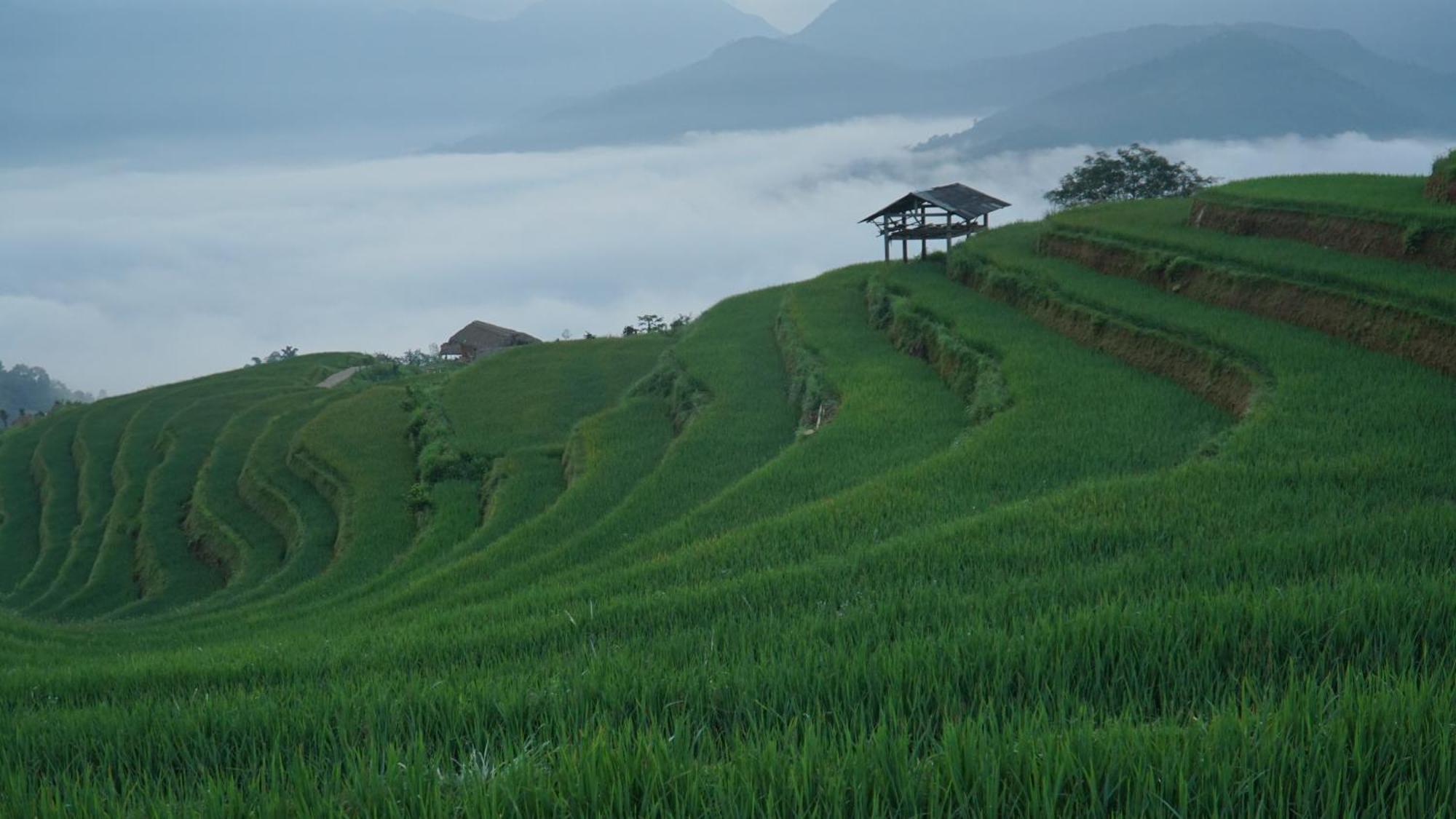 Hoang Su Phi - Mong Ngua Homestay Ha Giang Esterno foto
