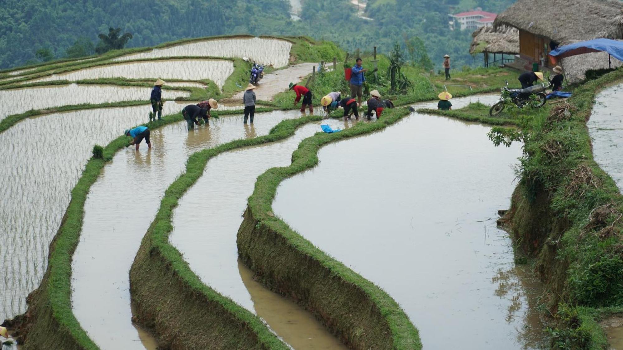 Hoang Su Phi - Mong Ngua Homestay Ha Giang Esterno foto